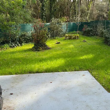 Georges De Didonne Bois Rosé Meublé De Tourisme 3 étoiles Climatisé 3 Pièces Proche Avec Jardin Et Wifi * Saint-Georges-de-Didonne