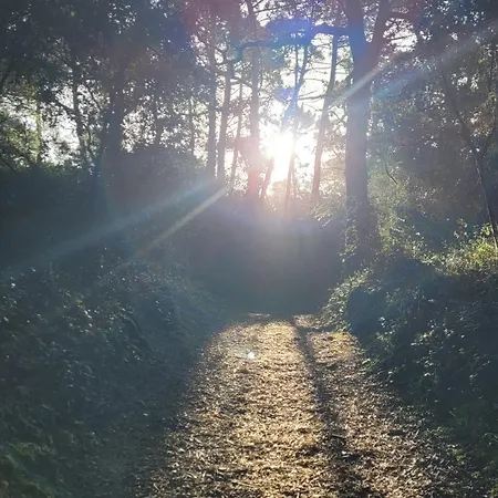 Georges De Didonne Bois Rosé Meublé De Tourisme 3 étoiles Climatisé 3 Pièces Proche Avec Jardin Et Wifi Saint-Georges-de-Didonne