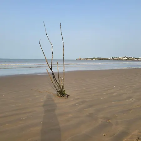 Apartamento Georges De Didonne Bois Rosé Meublé De Tourisme 3 étoiles Climatisé 3 Pièces Proche Avec Jardin Et Wifi